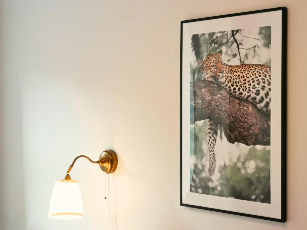 Fynbos Apartments Deluxe, Balkon, Historisch, Parkplatz Meißen Εξωτερικό φωτογραφία