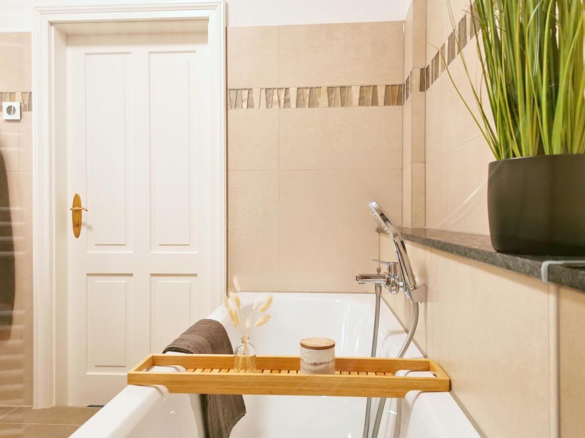 Fynbos Apartments Deluxe, Balkon, Historisch, Parkplatz Meißen Εξωτερικό φωτογραφία